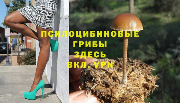 меф Медногорск