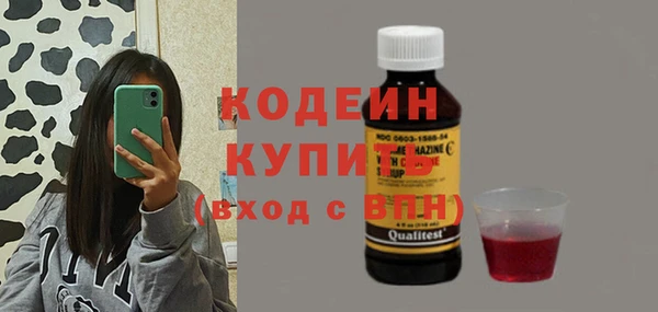 гашик Семилуки