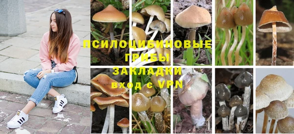 каннабис Сатка