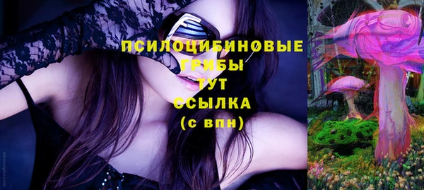 молекула духа Лиски