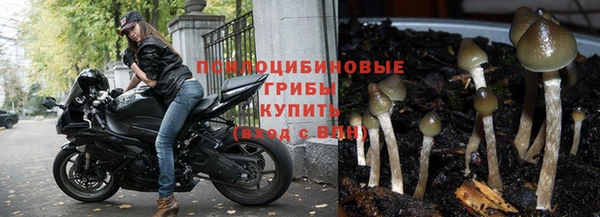 мдпв Красноперекопск